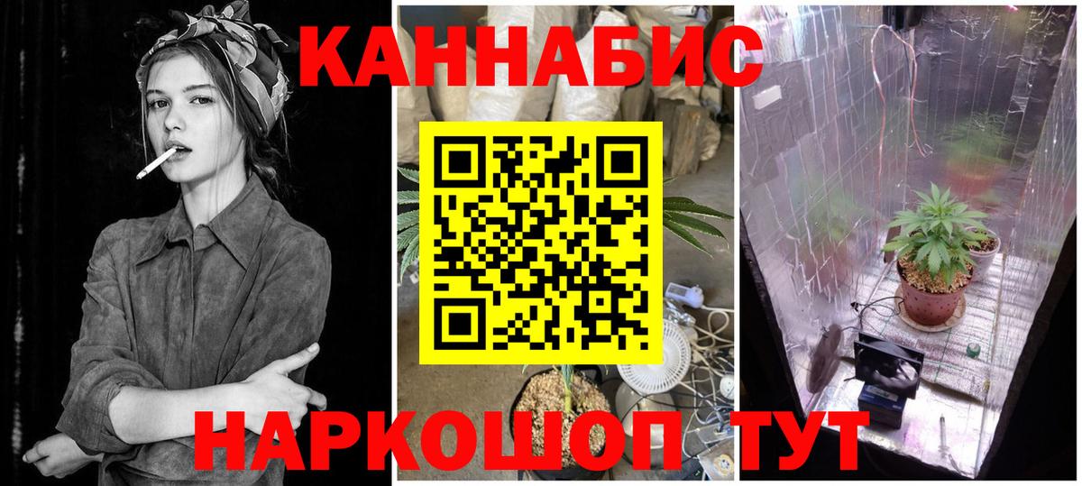 МАРИХУАНА планчик Берёзовский